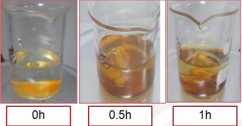 氟化物与水反应后粉体颜色变化图.jpg